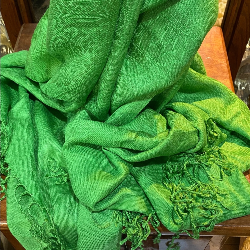 Green Pashmina Women's Luxury Pashmina Shawl 68 x 27 NWOTs - Picture 3 of 3